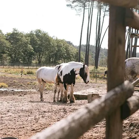Hotel Roulottes Cocooning Au Coeur Des Landes Mées Exterior foto