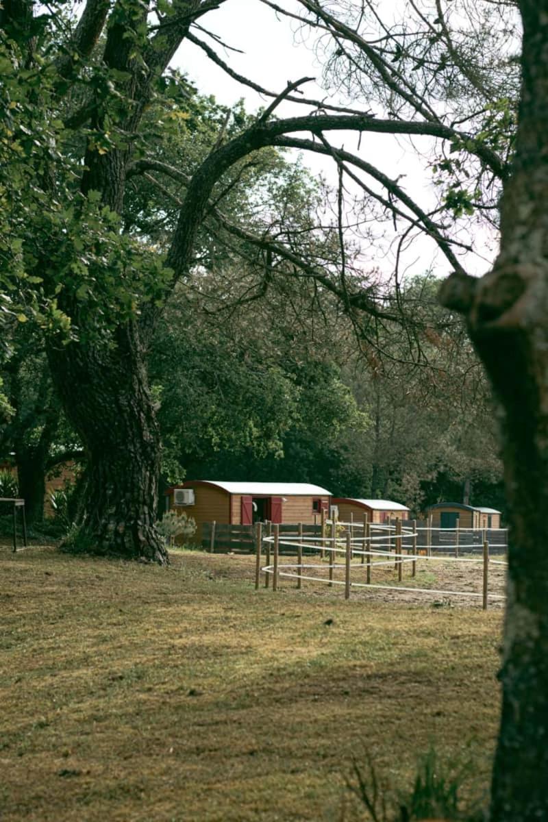 Campingplatz Roulottes Cocooning Au Coeur Des Landes *
