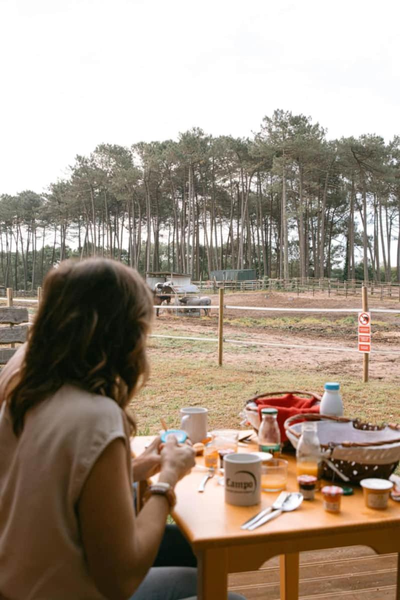 Roulottes Cocooning Au Coeur Des Landes Campingplatz