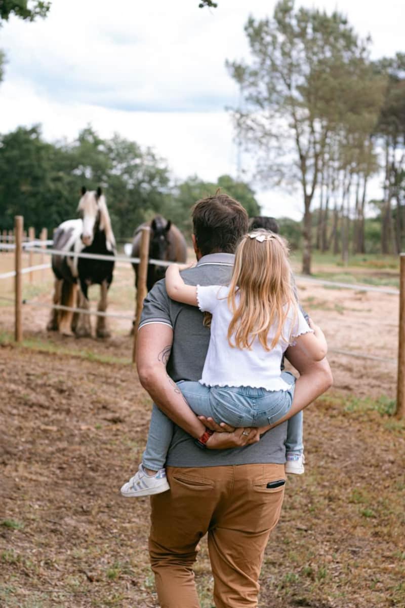 Roulottes Cocooning Au Coeur Des Landes