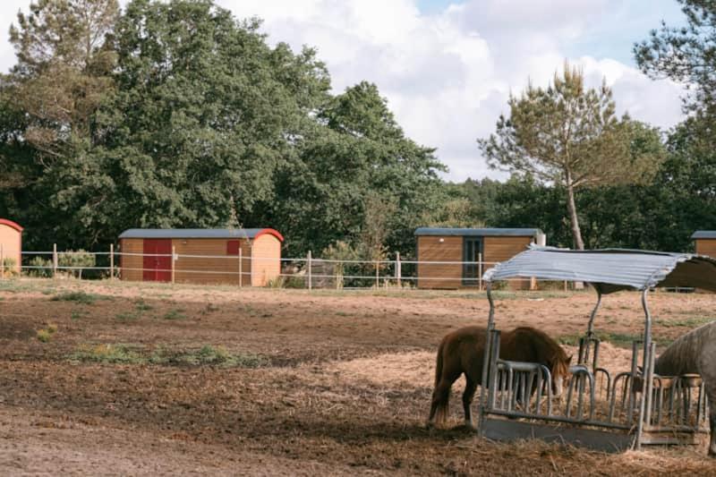 Campingplatz Roulottes Cocooning Au Coeur Des Landes Mées